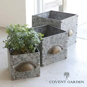 fEACAP[X 3_Zbg AeB[N RxgK[f COVENT GARDEN t[|bg   ϗtA K[fG i`K[f BZ-17 y |Cg10{z