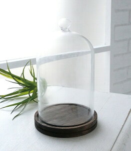 vWFNVh[ yCOVENT GARDEN RxgK[fz IuWFȂǂŴɃIXXȃKXh[P[X GLASS DOME WpKXh[ X܏Y fBXvC AeB[N 