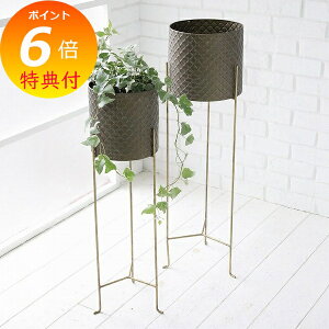 yTtz EFnXEX^h|bgJo[2_Zbg AeB[N |bgJo[ RxgK[f COVENT GARDEN KW-54 CeAK[fjOp Jo[Aؔ |bg AeB