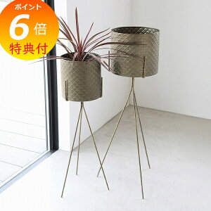 yTtz t[|bg XPEACA|bgX^hJo[ 2_ZbgAeB[N RxgK[f COVENT GARDEN KW-69 t[|bg   ϗtA K[fG i`K