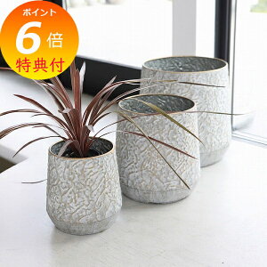 yTtz t[|bg [cEACA|bgJo[ 3_ZbgAeB[N RxgK[f COVENT GARDEN KW-71 t[|bg   ϗtA K[fG i`K[f 