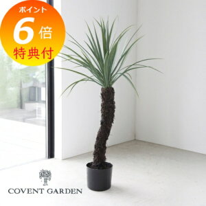 bJEXg[^  C~e[V RxgK[f COVENT GARDEN tFCNO[ ϗtA  lHϗtA tFCNO[ CeAO[ LG-08 y |Cg10{