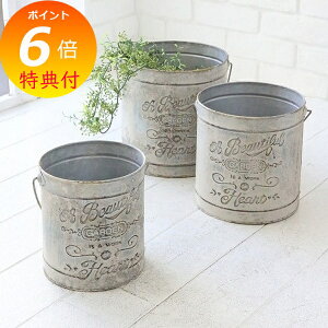 yTtz n[oEoPc 3_Zbg 3Zbg uL AeB[N RxgK[f COVENT GARDEN OE-30 uL t[|bg   ϗtA K[fG i`K[f y