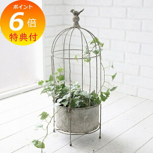 yTtz XeBEC[vcP[W AeB[N |bgJo[ RxgK[f COVENT GARDEN OE-41 CeAK[fjOp Jo[Aؔ |bg AeB[N 