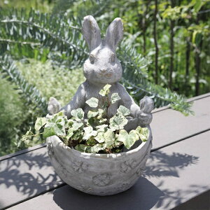 rbgNX|bg  ETM rbg rabbit AeB[N RxgK[f COVENT GARDEN t[|bg   ϗtA K[fG i`K[f  PR-04