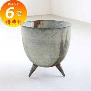 �y���T�t���z ���X�e�B�E���b�O�X�J�b�v �A���e�B�[�N�� �R�x���g�K�[�f�� COVENT GARDEN QZ-18 �t�����[�|�b�g �� �� �ϗt�A�� �K�[�f���G�� �i�`�������K�[�f�� �y�������� �|�C���g10�{�z