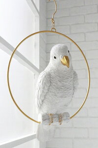 O RJbgD[ AeB[N  Ƃ Rg  Ƃ g o[h bird yCOVENT GARDEN RxgK[fz K[f}XRbg K[fjO u IuWF I[ig  TS-0