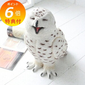 yTtz qAXEIE AeB[N ӂ낤 tNE  sJ owl RxgK[f COVENT GARDEN K[f}XRbg K[fjO u IuWF I[ig  TS-05 