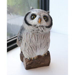 bNEu`IE AeB[N ӂ낤 tNE  sJ owl yCOVENT GARDEN RxgK[fz K[f}XRbg K[fjO u IuWF I[ig  TS-57