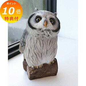 �y���T�t���z ���b�N�E�u�����`�I�E�� �A���e�B�[�N�� �ӂ��낤 �t�N���E �� �s��J owl �yCOVENT GARDEN �R�x���g�K�[�f���z �K�[�f���}�X�R�b�g �K�[�f�j���O �u���� �I�u�W�F �I�[�i�����g ��