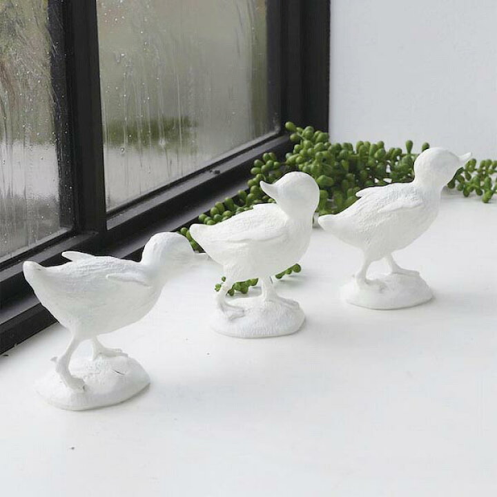 楽天市場】4290【商品入替SALE】フロリキンダック 3個アソート セット 