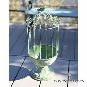 yTt z V[EvcP[W O[ RxgK[f COVENT GARDEN XB-06 AeB[N v^[X^h/t[X^h 1i X`[ fUC |bN kK[f