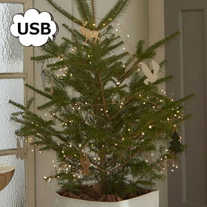 LEDC~l[V LED USB LED C[Cg u` O[g O Horn Please u 107966 NX}X  c[ 