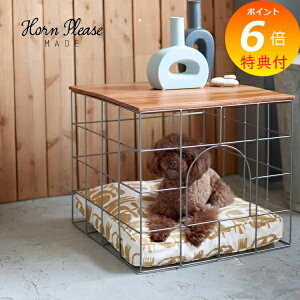 yTtz TChe[u EbhACA oXPbg e[u XNGA ybgxbh Horn Please u 423665 TChe[u TChS e[u \t@ xbh TCh iCge[u 