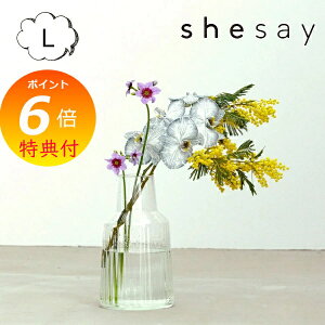 yTtz ԕr KXx[X [YKX t[x[X L shesay u̔ 372304 KX t[|bg ԕr t[x[X  ԕr K[fjO  킢 g 