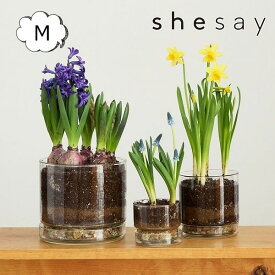 植木鉢 リューズガラス プレート付き フラワーポット ストレート Mサイズ 4号鉢 shesay 志成販売 372312 フラワーベース/木/花/フラワー/フラワーグラス/花瓶 ガラス/ガラスベース/シンプル/おしゃれ 置物/北欧/花器/インテリア雑貨