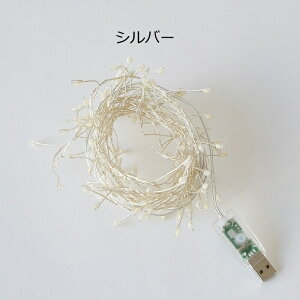 }LEDfR[VCg O[g 2.5m Vo[ Jbp[ LED C[Cg USBڑ Rt shesay u̔ Ɩ v LED C~l[V  NX}X c[ LED 