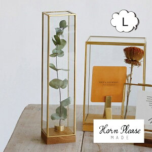 uXt[ KXP[X fBXvC{bNX g[ LTCY Horn Please u̔ AeB[N S[h 107783 IuWFȂǂŴɃIXXȃKXP[X WpKX 