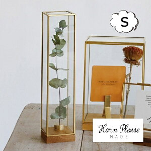 uXt[ KXP[X fBXvC{bNX g[ STCY Horn Please u̔ AeB[N S[h 107784 IuWFȂǂŴɃIXXȃKXP[X WpKX 