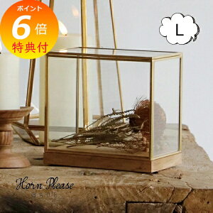 yTtz uXt[ KXP[X fBXvC{bNX Ch L Horn Please u̔ AeB[N S[h 107785 IuWFȂǂŴɃIXXȃKXP[X Wp