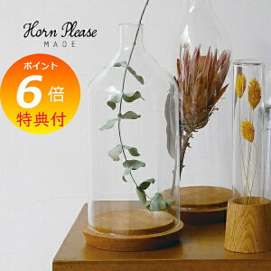 yTtz [YKX fBXvC h[ V~l Horn Please u̔ 372223 fBXvCP[X eE GAvc KX KXP[X  CeAG V[P