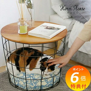 yTtz TChe[u EbhACA oXPbg e[u Horn Please u 423622 TChe[u TChS e[u \t@ xbh TCh iCge[u \t@[e[u _