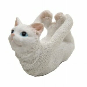 YOGAAj} K  L ˂ lR cat Lbg Ԃ Ђ  X   ͂˂  AeB[N IuWF u Aj}