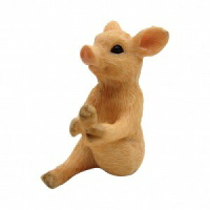 YOGAAj} K  L ˂ lR cat Lbg Ԃ Ђ  X   ͂˂  AeB[N IuWF u Aj}