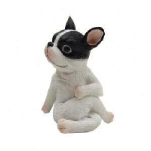 YOGAAj} K  L ˂ lR cat Lbg Ԃ Ђ  X   ͂˂  AeB[N IuWF u Aj}