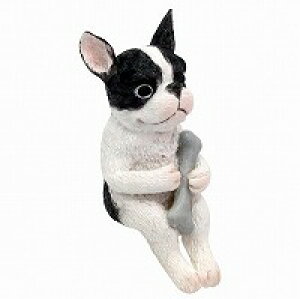 VbeBOAj}  L ˂ lR cat Lbg Ԃ Ђ  X   ͂˂  AeB[N IuWF u Aj}