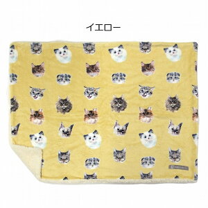 uPbg tl {A uPbg Lbg tFCX 73×100cm Ђ ѕz uPbg t@ubN Ђ|  k y xr[J[ Mtg L ˂ lR cat Lbg 