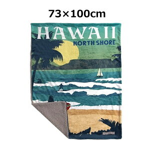 uPbg 73×cm  Ђ ѕz uPbg t@ubN Ђ|  k y Mtg |GXe Lv tluPbg {An POSTER SURF nC HAWAII