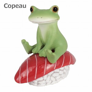 R|[ iƃJG }O i  K[f Copeau 622541 G K[f K[fjO u  IuWF  JG tbO frog