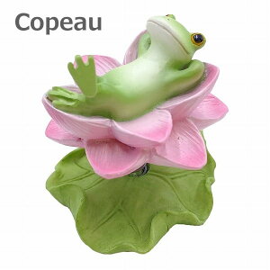 R|[  @̉Ԃ̏ _CJC Copeau 74191 G u u IuWF K[fG CeAG  }XRbg ~j`A  JG tbO frog