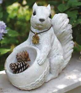 XNCY K[fI[ig X XNCY SQUIRRELS K[f}XRbg K[fjO u IuWF I[ig  y|Cg10{z