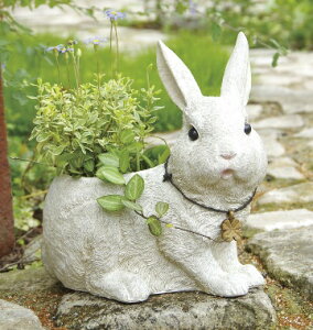 rbct@[v^[ L  ETM rbg rabbit  Aj} ꌊ v^[  Aؔ |bg K[fjOG AeB[N Jo[  킢  K[f