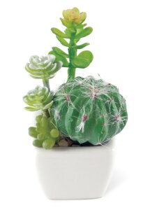 TLgtE LA[eBtBVO[ C~e[V TLg tFCNO[ ϗtA  G} CTG} lHϗtA tFCNO[ CeAO[