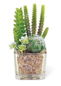 TLgtE LA[eBtBVO[ C~e[V TLg tFCNO[ ϗtA  G} CTG} lHϗtA tFCNO[ CeAO[