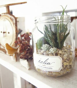 サキュレントリフレリウム 消臭アーティフィシャルグリーン イミテーション サキュレント フェイクグリーン 観葉植物 造花 光触媒 CT触媒 人工観葉植物 フェイクグリーン インテリアグリー