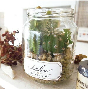 エクリア 消臭アーティフィシャルグリーン イミテーション サキュレント フェイクグリーン 観葉植物 造花 光触媒 CT触媒 人工観葉植物 フェイクグリーン インテリアグリーン 【ポイント10倍