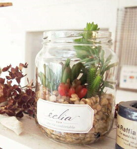 GNA LA[eBtBVO[ C~e[V TLg tFCNO[ ϗtA  G} CTG} lHϗtA tFCNO[ CeAO[ y|Cg10{