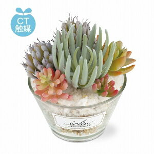 LA[eBtBVO[ CTG} C~e[V TLg tFCNO[  CeAO[ lHϗtA tFCNO[ C~e[V  t[ yCe