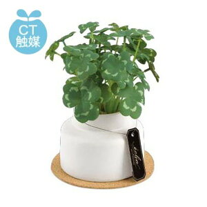 N[o[ ϗtA  CeA CTG} ~j tFCNO[ tω AW  A JtF  rO Lb` LEhERۋ@\t y|Cg10{z