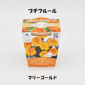 E^l v`t[ ͔|Lbg ȒP łł ͔| GR x_ ͔|  Ă     t | |pi ̓ R