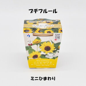 E^l v`t[ ͔|Lbg ȒP łł ͔| GR x_ ͔|  Ă     t | |pi ̓ R