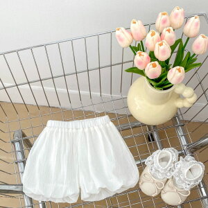 [yVLO1ʊl]xr[ xr[ ڂpc u}  ̎q t  t H t ĕ H 70 80 90 100 V[gpc u}pc xr[pc p Zp o[p