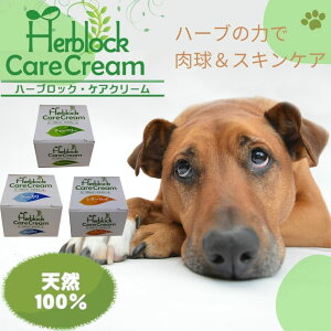 Iꂽōn[ugpn[ubNPAN[ 10ml eB[c[/[J/V_[Ebgpi PA pEPA r ]A݁A؂菝AAM[