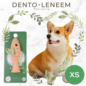 【公式】歯みがきおもちゃデントレニーム XS 超小型〜小型犬用デント・レニーム FLF 犬用品 犬おもちゃ 木製 デンタルケア 歯磨き お手入れ