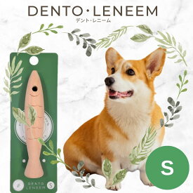 ポイント20倍！【公式】歯みがきおもちゃデントレニーム M 中型犬〜大型犬デント・レニーム FLF 犬用品 犬おもちゃ 木製 デンタルケア 歯磨き お手入れ