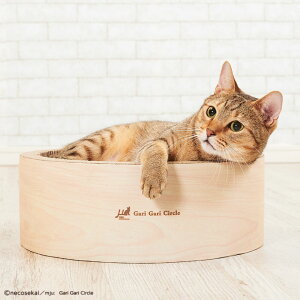 KKT[NSKCeA@~x[W܂Ƃ ܂݂  Lpi ybgpi GCNGCc ~[  CeA { ܂₷ L̒܂Ƃ Lp܂Ƃ X^f